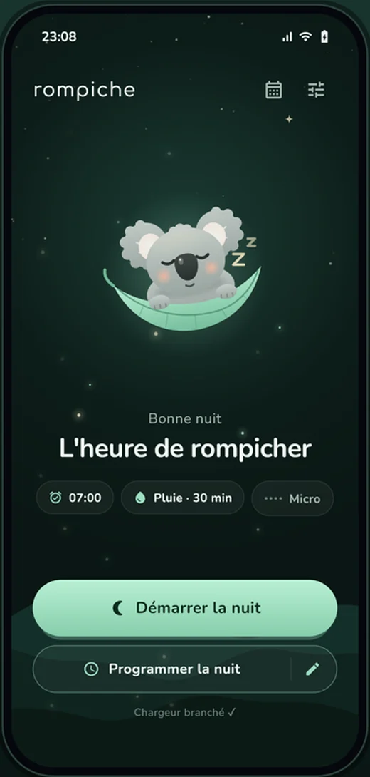 Rompiche home screen: the koala sleeps on a leaf above the Start the night button